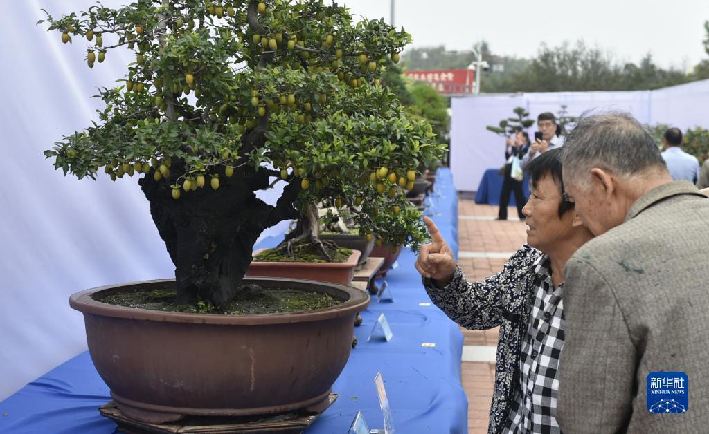 网络打牌网址